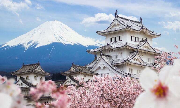 日本 旅遊 必 買​