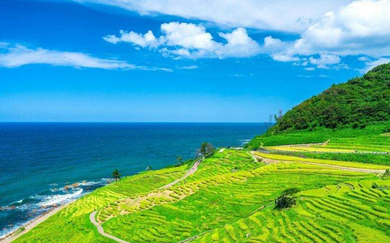 日本 北陸 旅遊