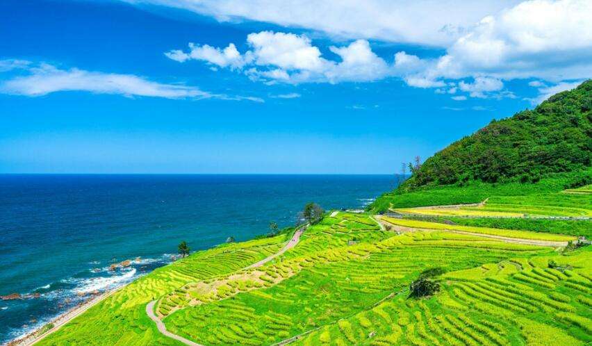 日本 北陸 旅遊