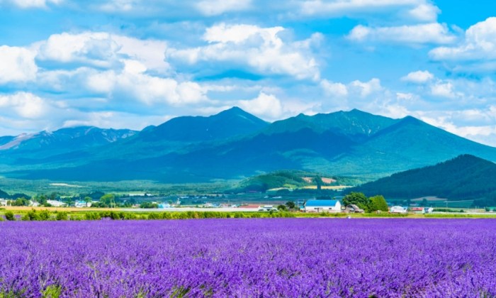 日本 暑假 旅遊