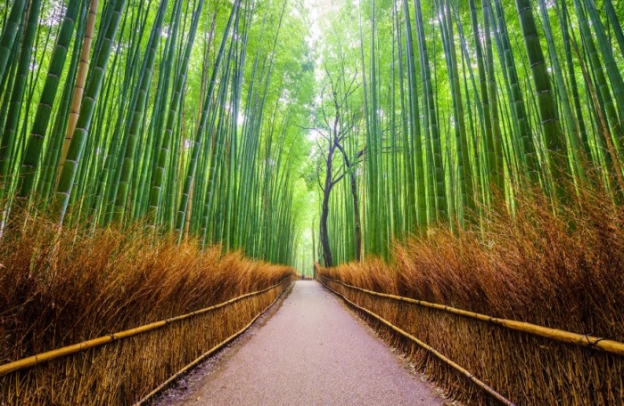 日本京都旅遊必買