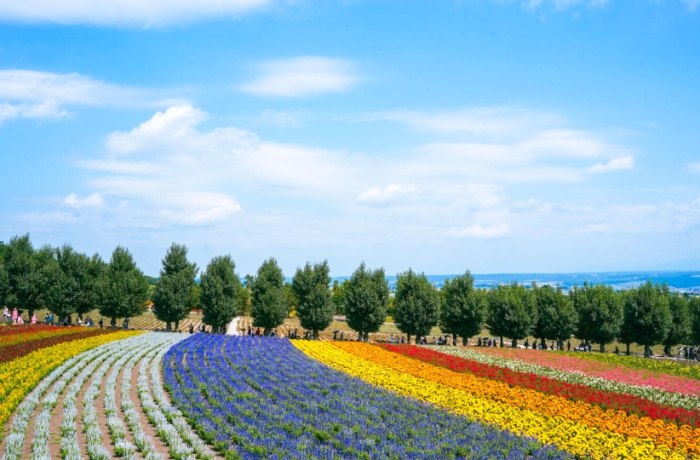 日本 親子 旅遊