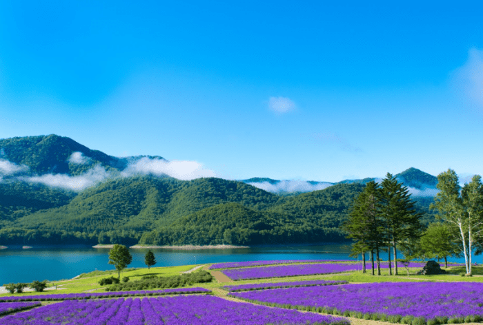 日本 深度 旅遊