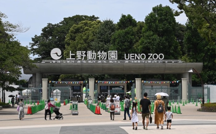 日本親子旅遊行程