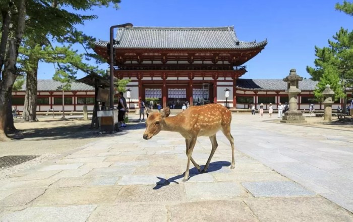 日本大阪景點推薦