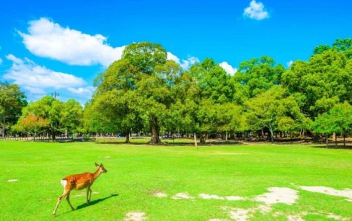 日本關西景點地圖