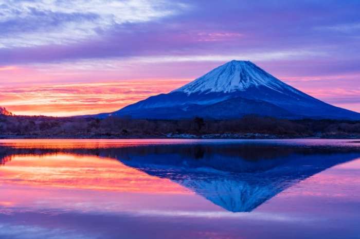日本 冬季 旅遊