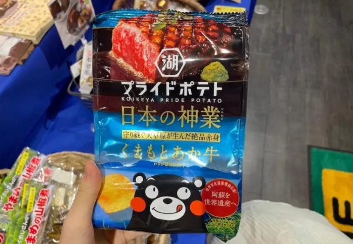 日本九州景點地圖