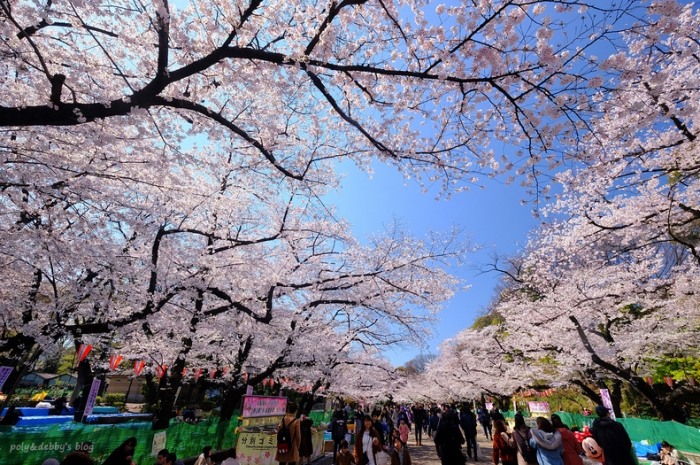 東京住宿