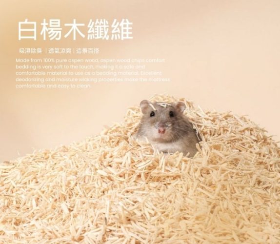 寵物鼠種類