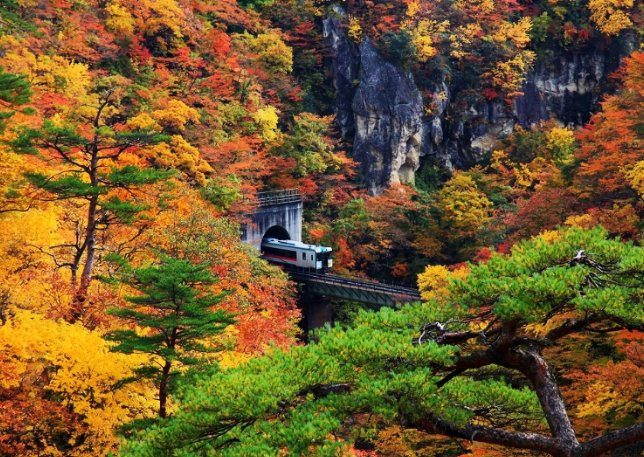 東北賞楓自駕路線 東北賞楓自駕路線