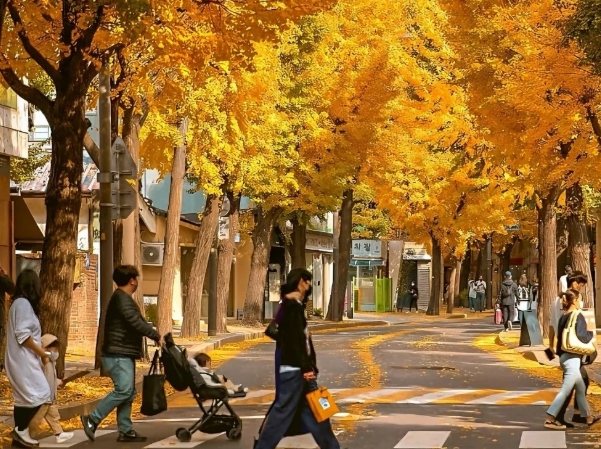釜山秋季旅游