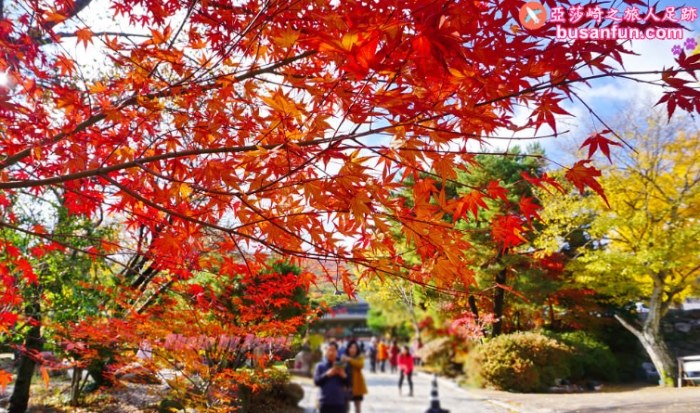 韓國秋天旅遊