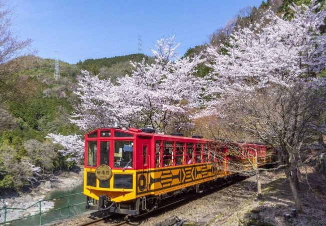 嵐山小火車預約 嵐山小火車預約