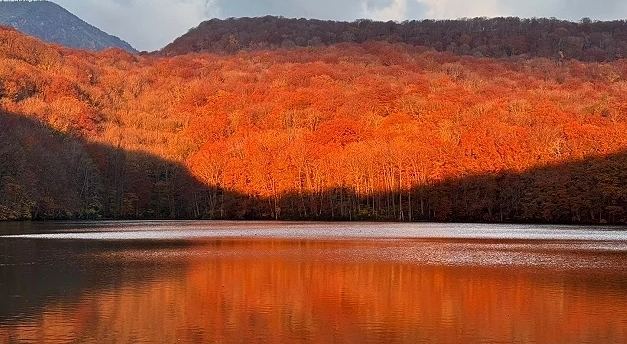 日本東北賞楓自駕遊 日本東北賞楓自駕遊