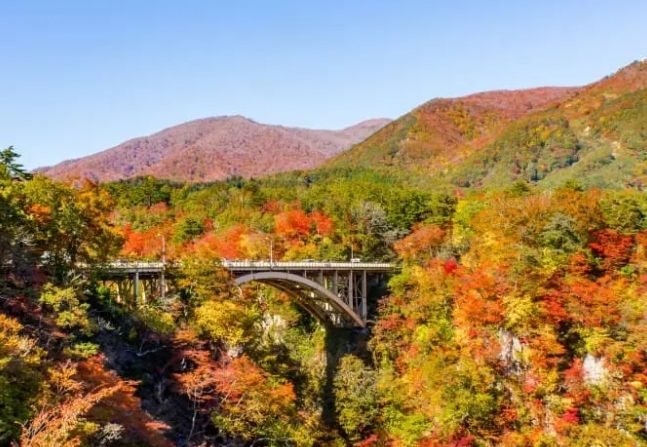 東北賞楓自駕路線 東北賞楓自駕路線