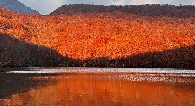 東北紅葉名所