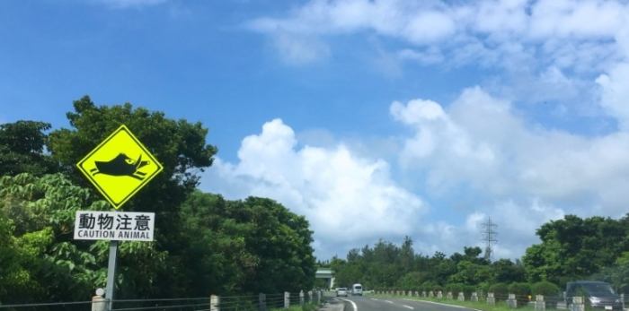 沖繩自動車道費用