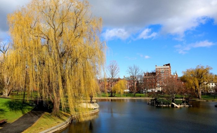 波士頓旅遊攻略