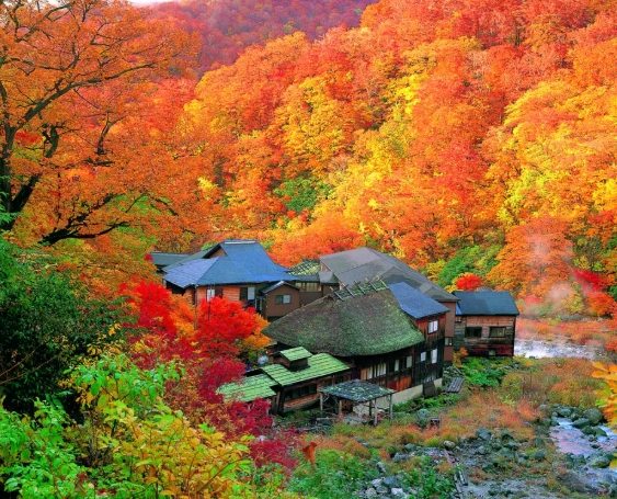 日本東北賞楓自駕遊 日本東北賞楓自駕遊