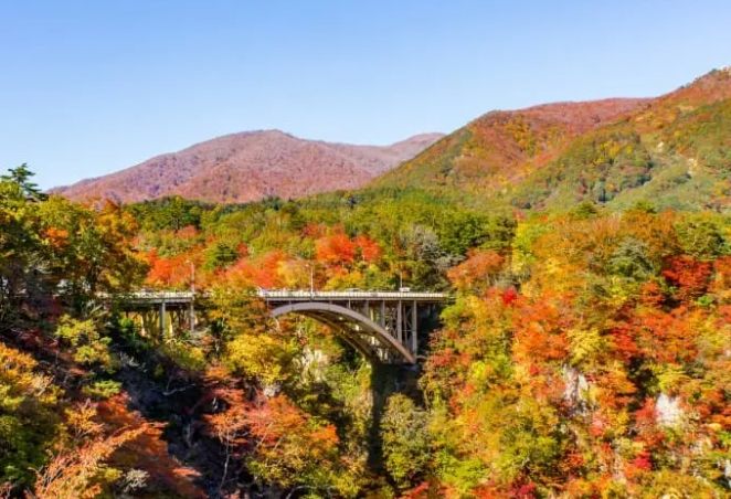 賞楓旅行規劃