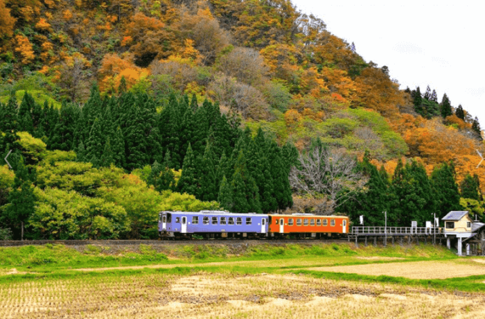 日本東北旅遊注意事項