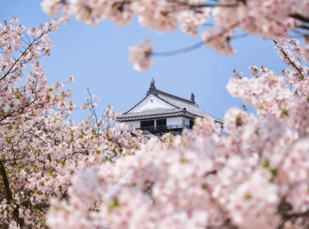 日本四國旅遊季節