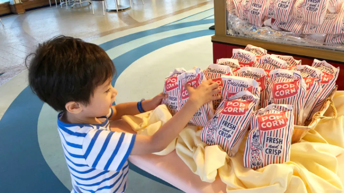 日本郵輪旅遊網絡