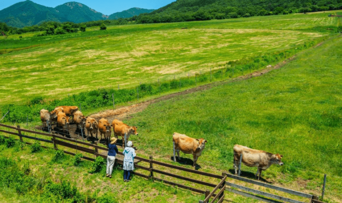 岡山旅遊季節