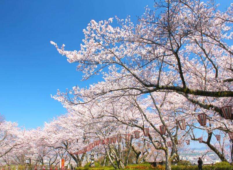 日本旅遊淡季