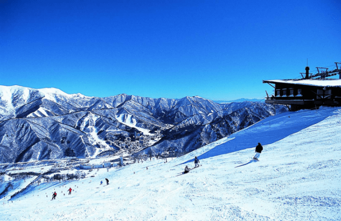 過年日本旅遊景點