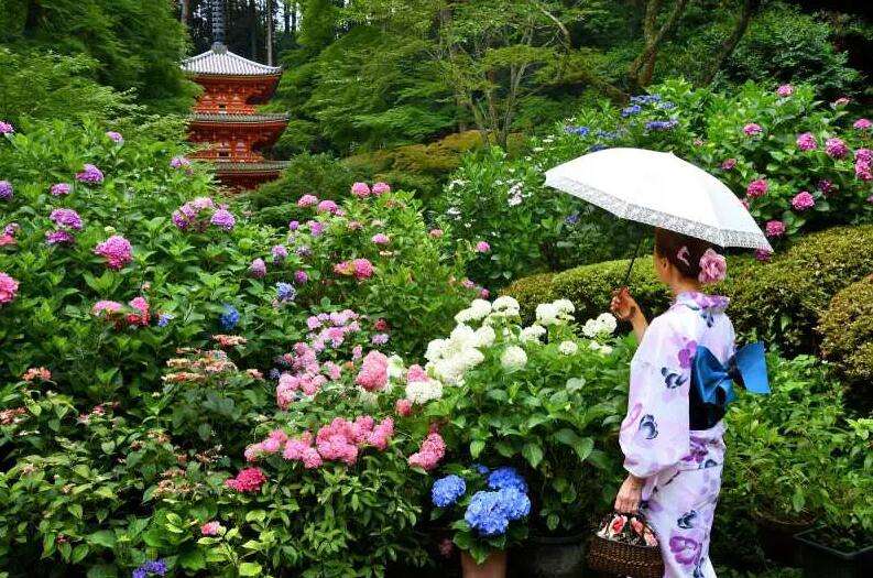 日本旅遊淡季注意事項
