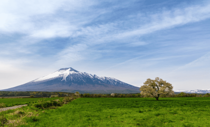 日本東北旅遊自由行行程規劃