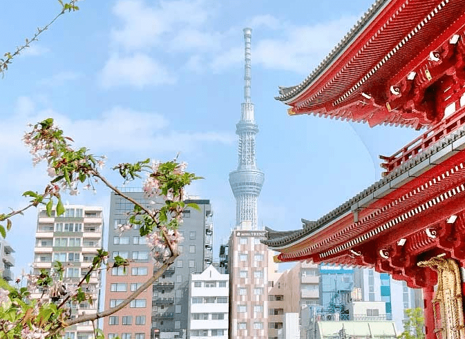 日本深度旅遊行程規劃