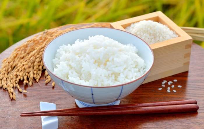 日本東北旅遊季節活動