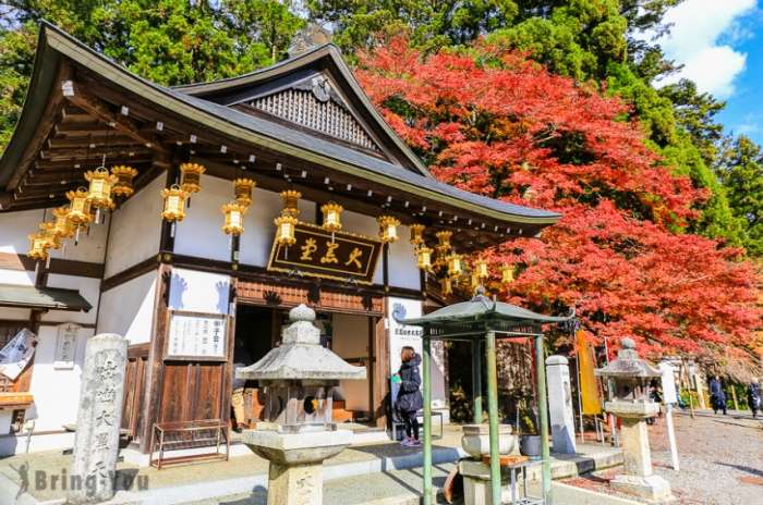6月日本旅遊推薦景點